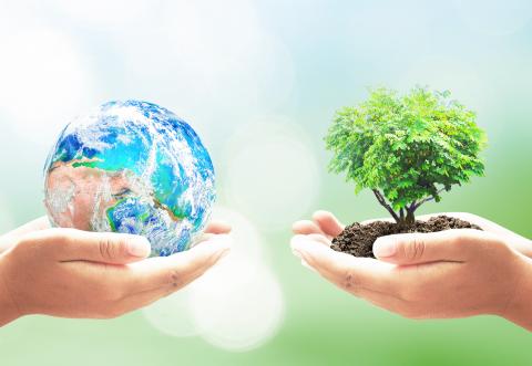 earth-tree (1)